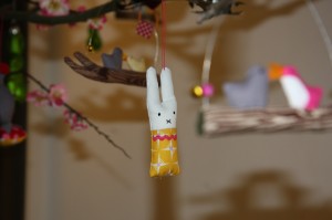 IMG_3531 IMG_3531
