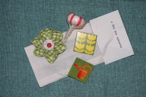 IMG_3617 IMG_3617