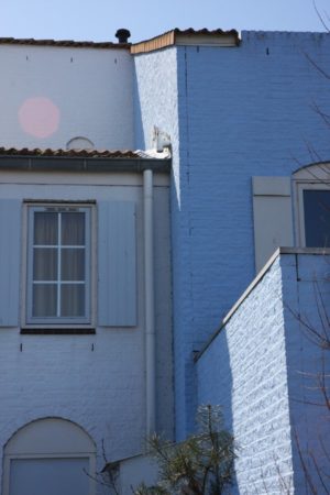IMG_3950 IMG_3950