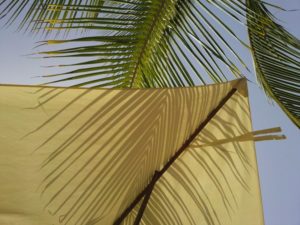 Foto555