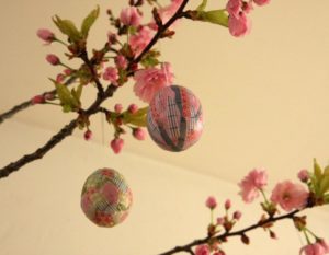 IMG_2831