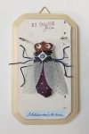 Schaukastenbild Fliegenviech Nr. 226