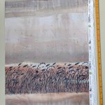 Modal Jersey Design Blumenwiese Aquarell 0,75m