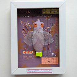 Schaukastenbild Fliegenviech Nr. 324