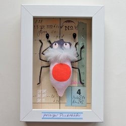 Schaukastenbild Fliegenviech Nr. 351