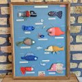 Riesen Schaukastenbild Fischwelt Nr. 1