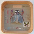 Schaukastenbild Fliegenviech Nr. 379
