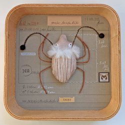 Schaukastenbild Fliegenviech Nr. 374