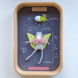 Schaukastenbild Fliegenviech Nr. 386