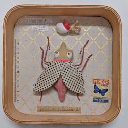 Schaukastenbild Fliegenviech Nr. 424