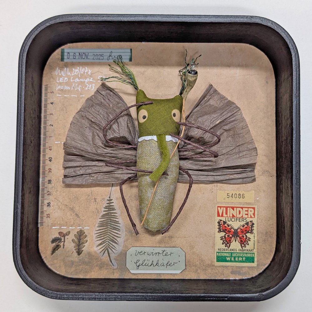 Schaukastenbild Fliegenviech Nr. 431 - zum Schließen ins Bild klicken