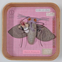 Schaukastenbild Fliegenviech Nr. 432