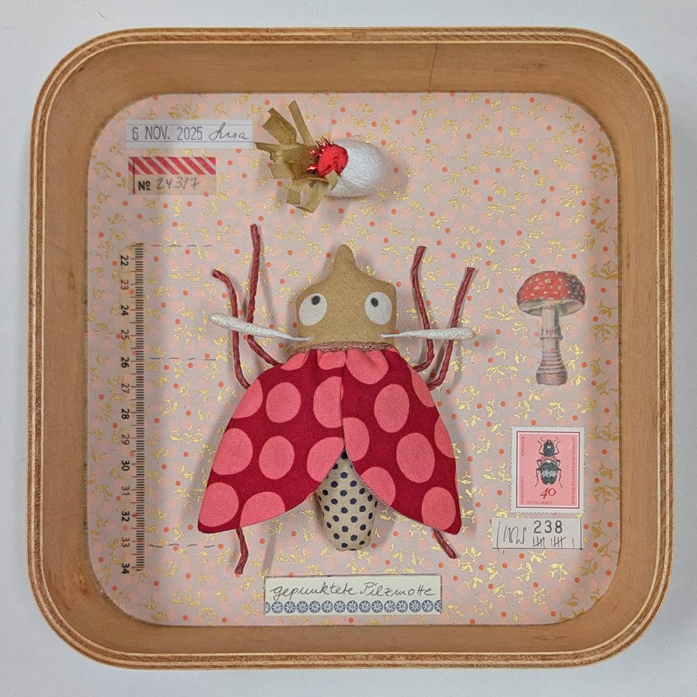 Schaukastenbild Fliegenviech Nr. 422 - zum Schließen ins Bild klicken