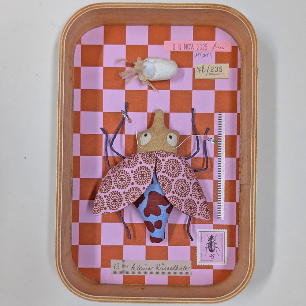 Schaukastenbild Fliegenviech Nr. 426 - zum Schließen ins Bild klicken