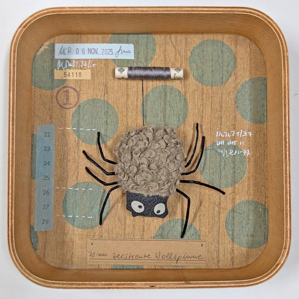 Schaukastenbild Fliegenviech Nr. 423 - zum Schließen ins Bild klicken