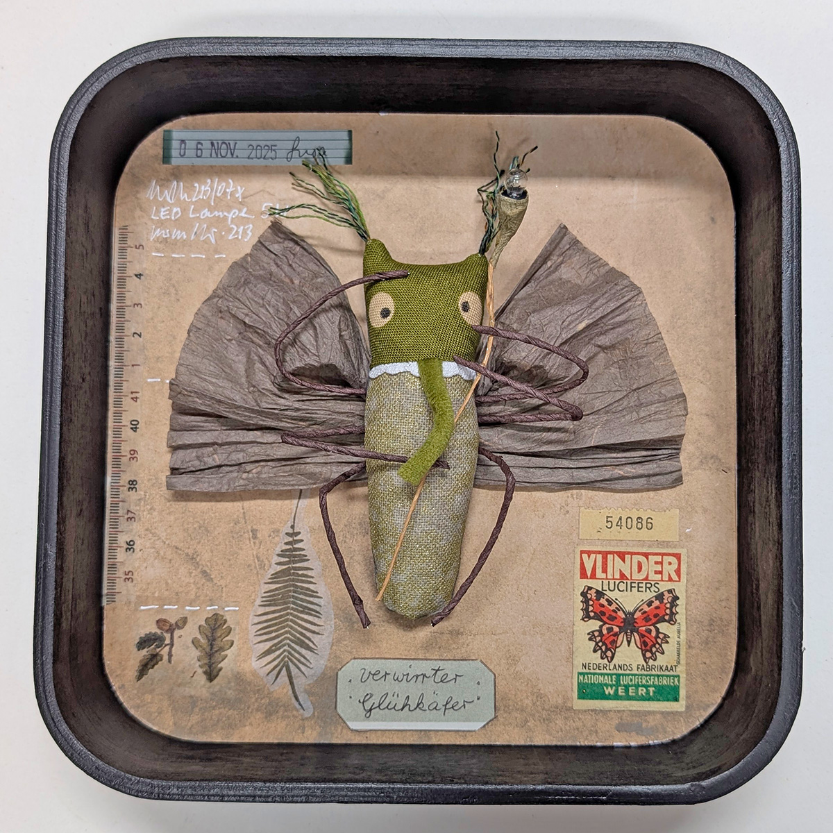 Schaukastenbild Fliegenviech Nr. 431